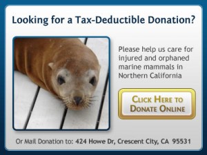 Looking for a Tax-Deductible Donation?