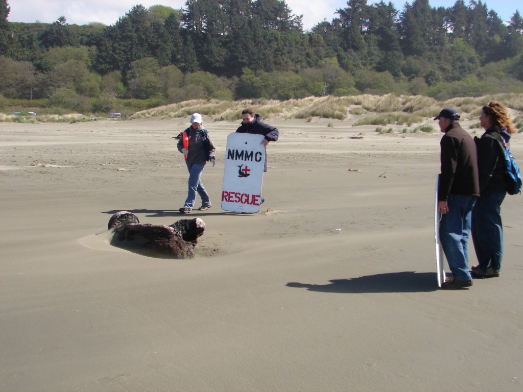 Janet, Cythia, and Dr Jeff Boehm, Marin Mammal Center approach seal for rescue